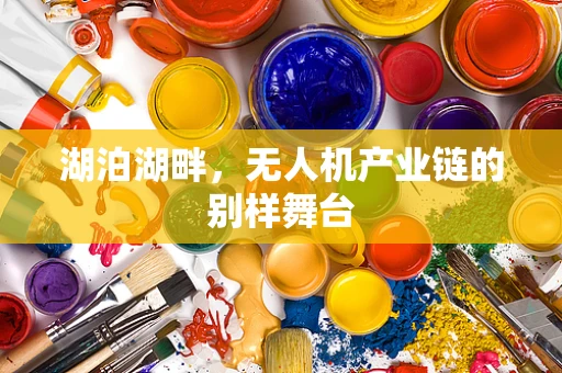 湖泊湖畔，无人机产业链的别样舞台