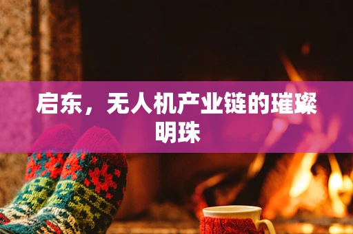 启东，无人机产业链的璀璨明珠