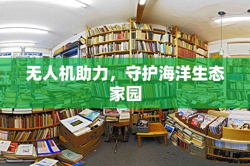无人机助力，守护海洋生态家园