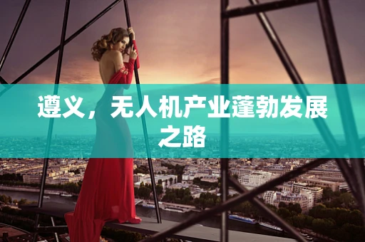 遵义，无人机产业蓬勃发展之路