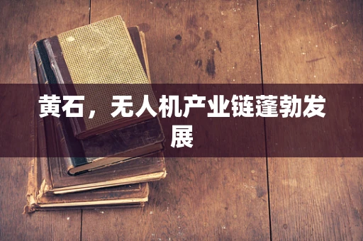 黄石，无人机产业链蓬勃发展