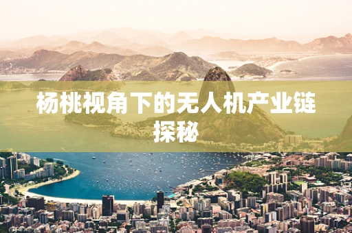 杨桃视角下的无人机产业链探秘