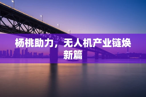 杨桃助力，无人机产业链焕新篇
