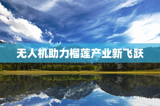 无人机助力榴莲产业新飞跃