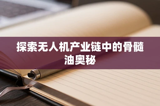 探索无人机产业链中的骨髓油奥秘