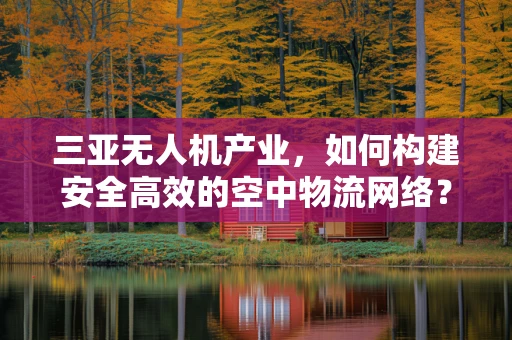 三亚无人机产业，如何构建安全高效的空中物流网络？
