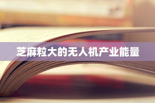 芝麻粒大的无人机产业能量