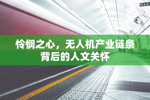 怜悯之心，无人机产业链条背后的人文关怀