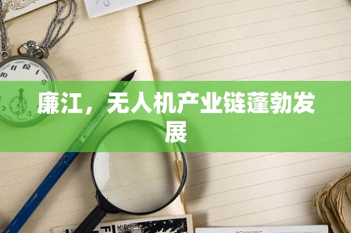 廉江，无人机产业链蓬勃发展
