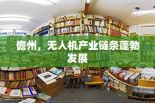 儋州，无人机产业链条蓬勃发展