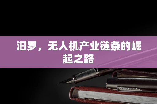 汨罗，无人机产业链条的崛起之路
