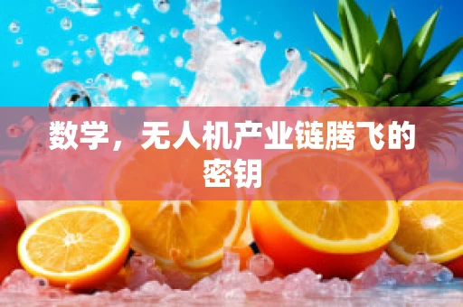 数学，无人机产业链腾飞的密钥