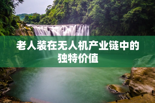 老人装在无人机产业链中的独特价值