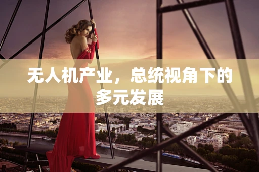 无人机产业，总统视角下的多元发展