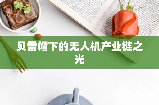 贝雷帽下的无人机产业链之光