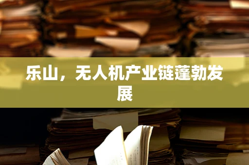 乐山，无人机产业链蓬勃发展