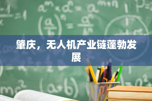 肇庆，无人机产业链蓬勃发展