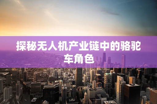 探秘无人机产业链中的骆驼车角色