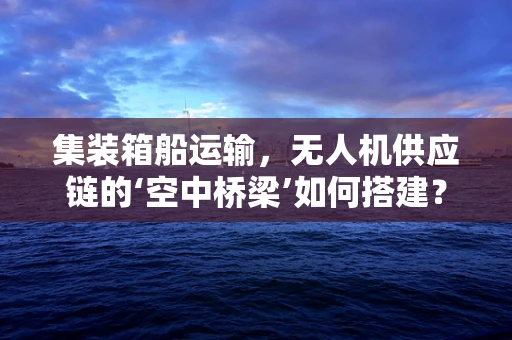 集装箱船运输，无人机供应链的‘空中桥梁’如何搭建？