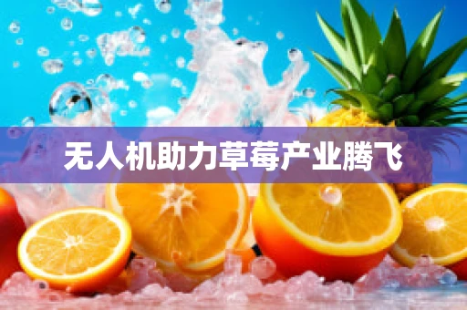无人机助力草莓产业腾飞