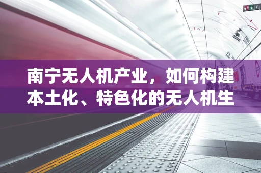 南宁无人机产业，如何构建本土化、特色化的无人机生态系统？