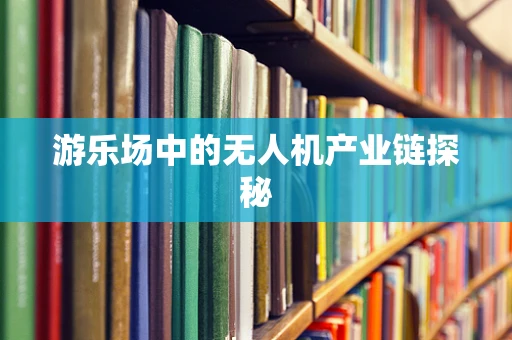 游乐场中的无人机产业链探秘