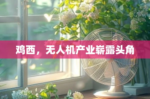 鸡西，无人机产业崭露头角
