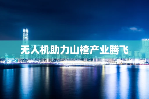 无人机助力山楂产业腾飞