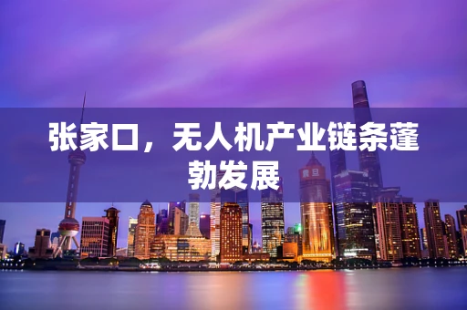 张家口，无人机产业链条蓬勃发展