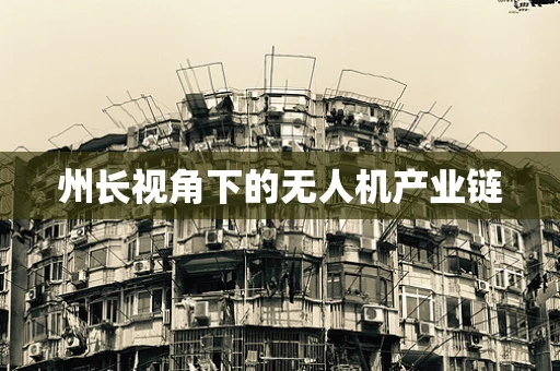 州长视角下的无人机产业链