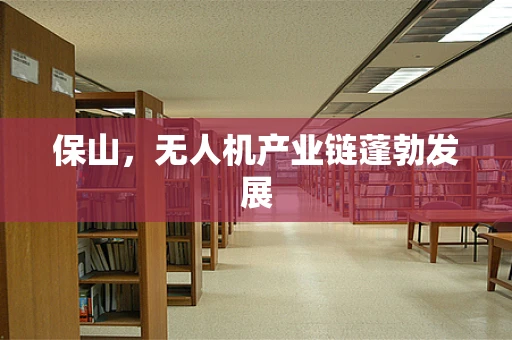 保山，无人机产业链蓬勃发展