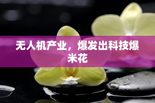 无人机产业，爆发出科技爆米花