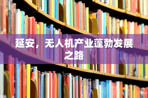 延安，无人机产业蓬勃发展之路