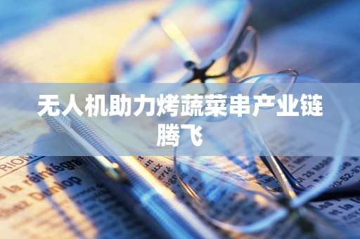 无人机助力烤蔬菜串产业链腾飞