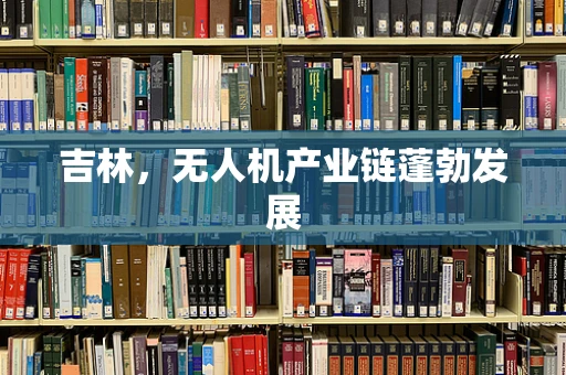 吉林，无人机产业链蓬勃发展