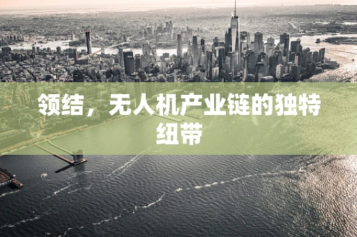 领结，无人机产业链的独特纽带