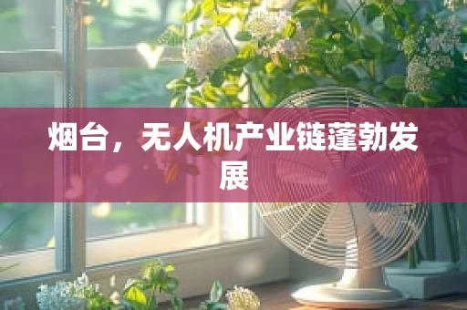 烟台，无人机产业链蓬勃发展