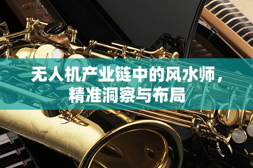 无人机产业链中的风水师，精准洞察与布局