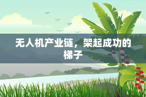无人机产业链，架起成功的梯子