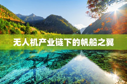 无人机产业链下的帆船之翼