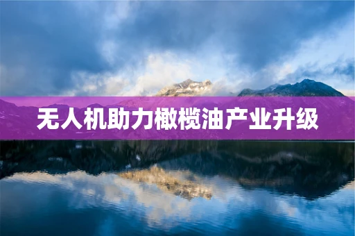无人机助力橄榄油产业升级