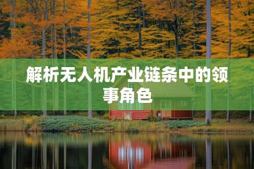 解析无人机产业链条中的领事角色
