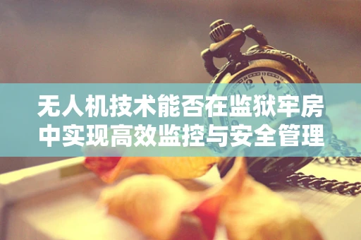 无人机技术能否在监狱牢房中实现高效监控与安全管理的创新应用？