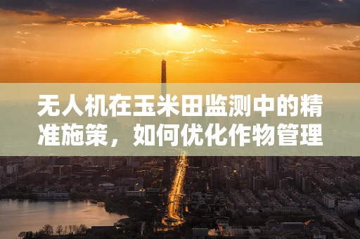 无人机在玉米田监测中的精准施策，如何优化作物管理？