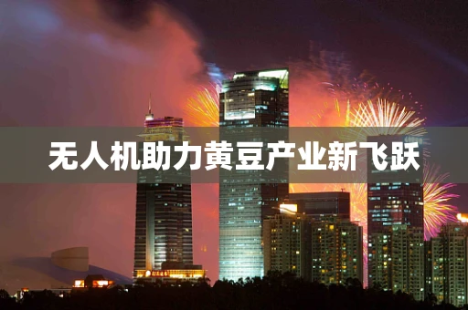无人机助力黄豆产业新飞跃