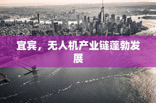 宜宾，无人机产业链蓬勃发展