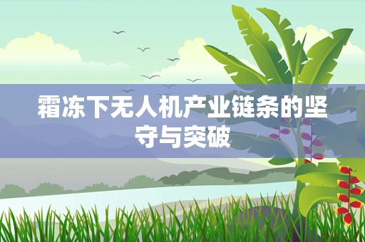 霜冻下无人机产业链条的坚守与突破