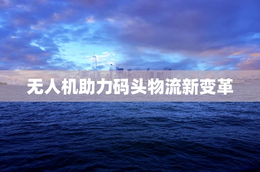 无人机助力码头物流新变革