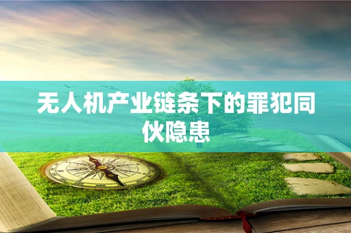 无人机产业链条下的罪犯同伙隐患