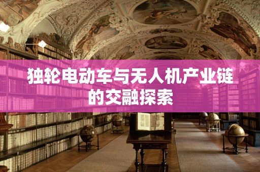 独轮电动车与无人机产业链的交融探索